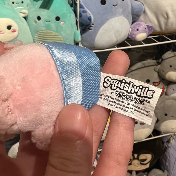 Squishmallows Chloe the Pink Poodle 2" Stuffed Plush Series 1 Squishville - Picture 3 of 3